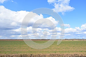 Blue sky. Clouds over the field. In the distance, the forest and the village. A large field of young grass, boundless. Agricultura