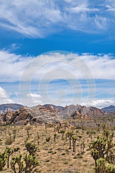Blue sky and clouds over the scenic Joshua Tree National Park desert scenery