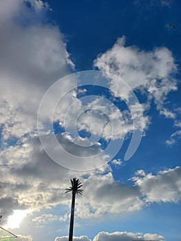 A blue sky with clouds and a palm tree.