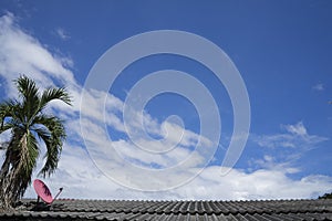 Blue sky and clouds palm tree and satellite dish on the roof Filmed in Chiang mai City ,Thailand