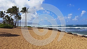 Blue sky with clouds with palm trees on beach in Hawaii photograph