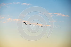 blue sky with clouds and plane trails