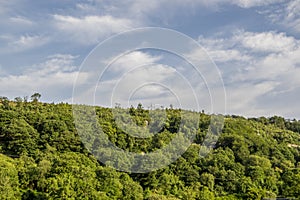 Blue Sky, Clouds and Trees in Snowdonia Wales