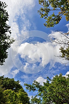 Blue sky and clouds and Verdure.