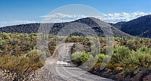 Blue sky copy space and winding road near Pinkley Peak in Organ