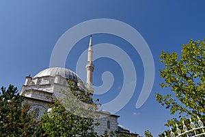 Blue sky domes and minarets, mosques in turkey, trees and minaret of a mosque