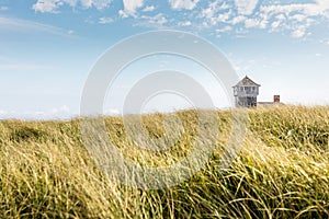 Blue sky and dunes with grass in front of the life saving building in Provincetown