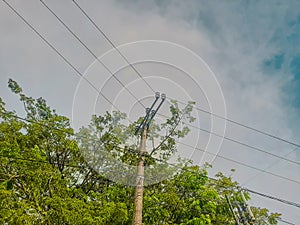 Blue Sky with Electricity Pylon and Power Lines Amidst Trees