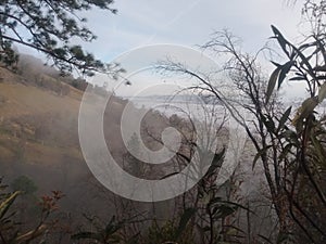 Blue sky envelops fog of treed hillside