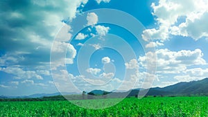 Blue sky and feild