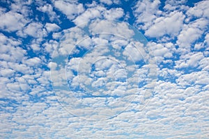 Blue sky with fleecy clouds