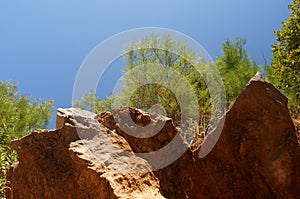 Blue sky, fluffy black pine, green needles and powerful stones