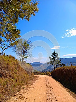 Blue sky front the dirt road