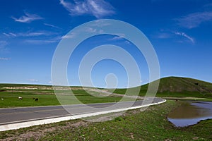 Blue sky and grassland