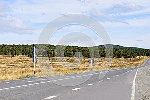 Blue sky. Gray asphalt. Green Forest. Road