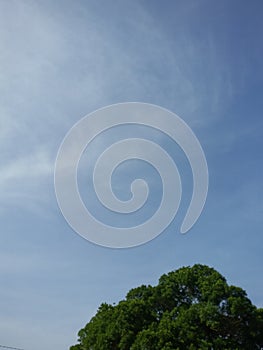 Blue sky green clouds empyreal tree alone summer sun