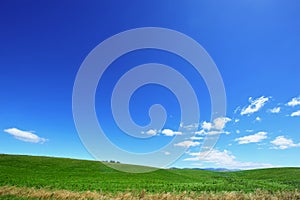 Blue Sky and Green Field