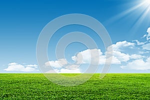 Blue sky and green field photo