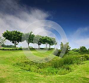 Blue sky, green fields