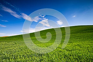 Blue Sky Green Fields