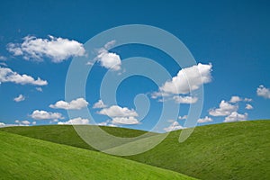 Blue sky green fields