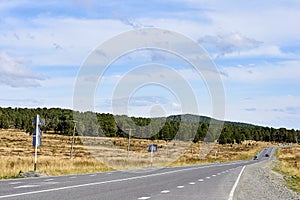 Blue sky. Green Forest. Gray asphalt. Road