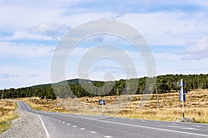 Blue sky. Green Forest. Gray asphalt. Road