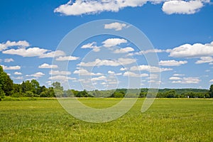 Blue sky and Green Grass