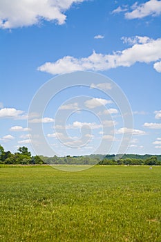 Blue sky and Green Grass