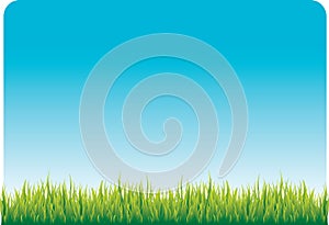 Blue sky and green grass
