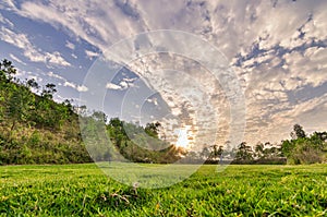 The blue sky green grass, fresh and natural background