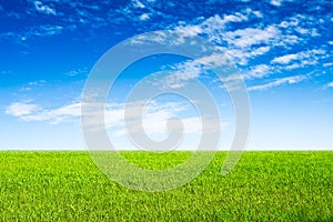 Blue sky and green grass scene