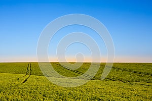 Cielo azul a césped verde 