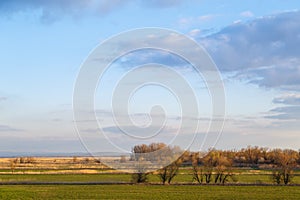 Blue sky, green meadows, occasionally overgrown with reeds and undersized trees as a background or backdrop