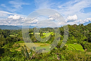 The blue sky and green rice fields in West sumatera