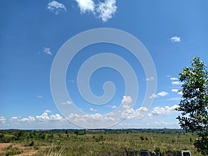 Blue sky and green savana