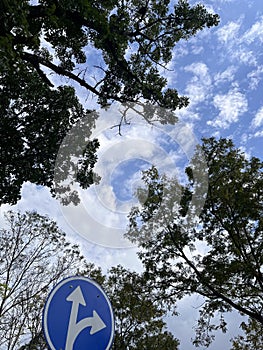 Blue sky and green trees