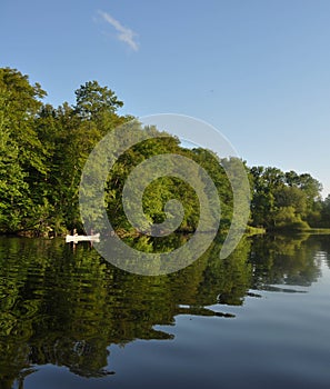 Blue Sky and Green Trees Reflected in a Lake