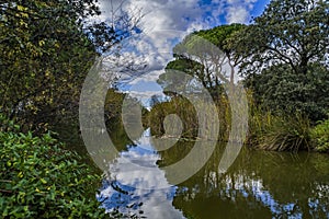 Blue sky, green trees and streams of water.