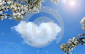 Blue sky, heart-shaped cloud, sun and blossoming tree, flower petals are blown away by the wind