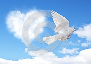 Blue sky with hearts shape clouds and dove.