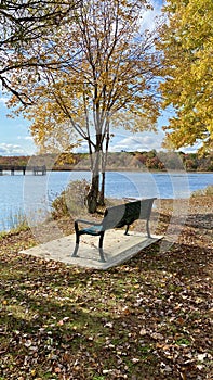 Blue sky with lake front bench leaves on trees