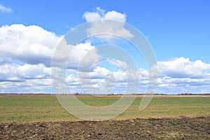 Blue sky. Large clouds low over the field. Forest in the distance. A large field of young grass, boundless. Agricultural