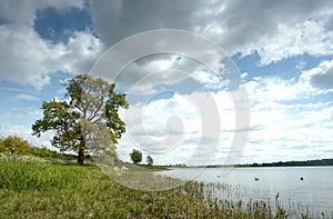 Blue sky with a lone tree and a large lake