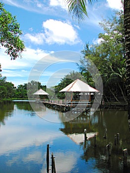 Blue sky at Miri Crocodile Farm, Borneo, Malaysia