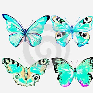 Blue sky natural beautiful butterfly flying open black wings spring watercolor abstract on white