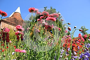 Blue sky and one of the gardens in Great Dixter House & Gardens in the summer.