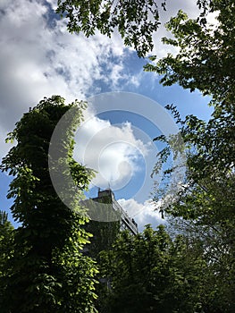 Blue sky over the city. Bright white clouds. Green city trees. Abstract wallpaper.