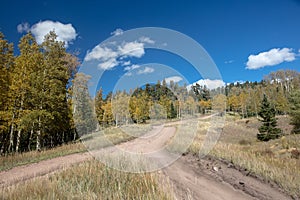 Blue sky over four wheel drive road [Medano Pass primitive road] through the Sangre De Cristo range of the Rocky Mountains