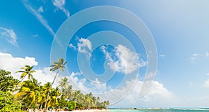 Blue sky over La Caravelle beach in Guadeloupe